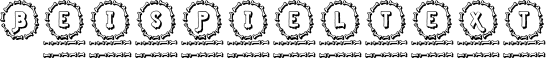 Image preview of font Bone Monogram