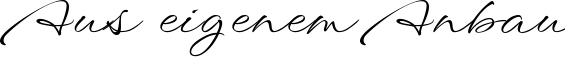 Image preview of font WindSong