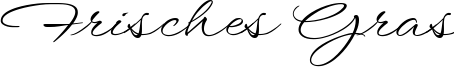 Image preview of font WindSong