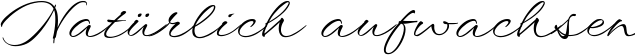 Image preview of font WindSong
