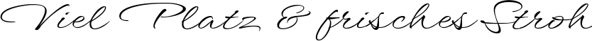 Image preview of font WindSong